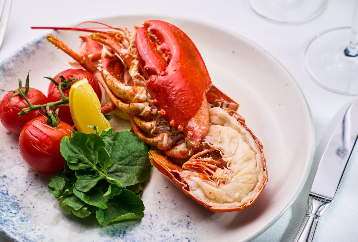 Restaruant Food Full Res-7