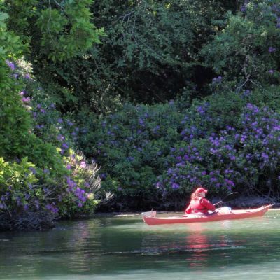 kayaking (6)