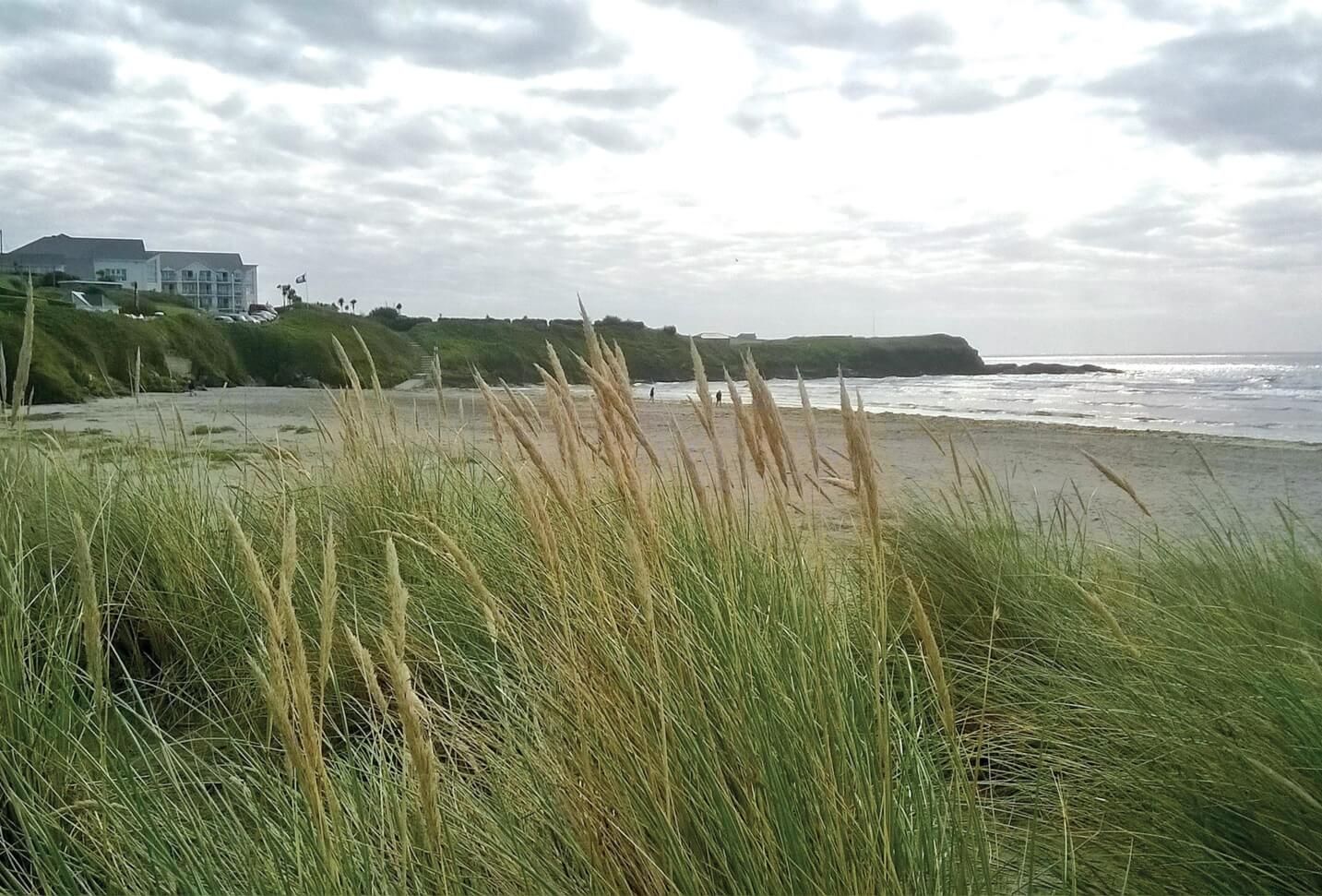 Windy Inchydoney- Ger Harris (2) (1)