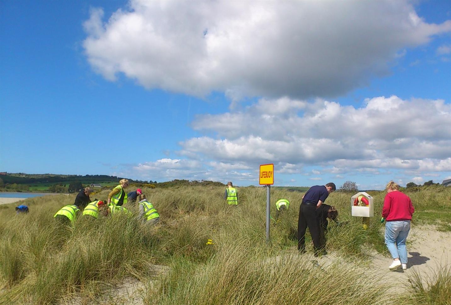 Coastcare Ireland - Inchydoney Island Marram Grass Planting 