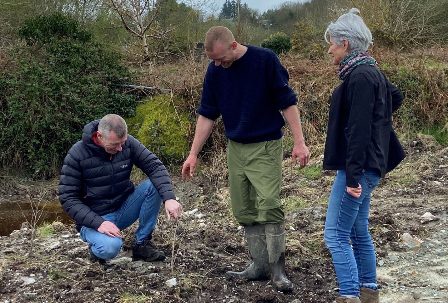 Tree Planting