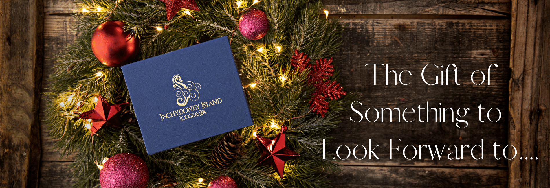 Christmas website banner www.inchydoneyisland.com_v4